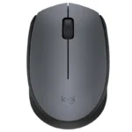 Logitech M170